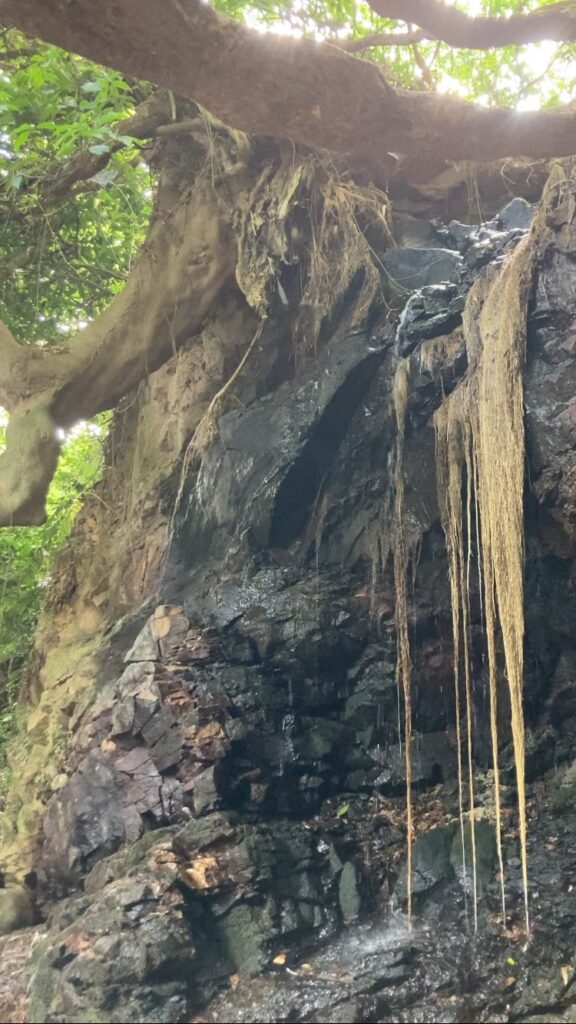 石上神宮の滝